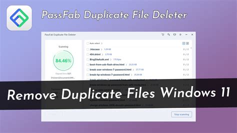 PassFab Duplicate File Deleter 